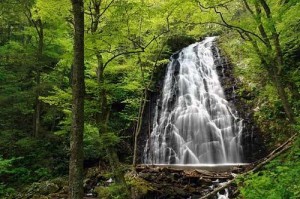 Crabtree Falls