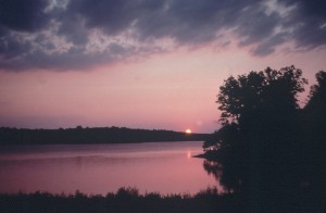 nature 1