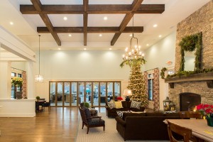 Clubhouse Interior Nano_Fireplace_Widget