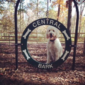 Screenshot 2014-10-26 14.55.33