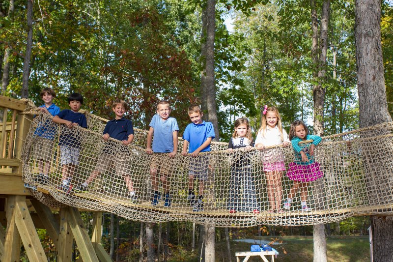 Treehouse Rope Bridge - Hallsley