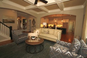 Open Concept Family Room Midlothian