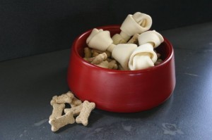 Concrete Designs Dog Bowl