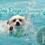 Dog Days Of Summer